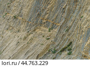 Photography of stone texture. Detail of cliff in Zumaia in Basque Autonomous Community / country in summer cloudy day in Bay of Biscay. Ornamental pattern of mountain surface. High resolution image. Стоковое фото, фотограф YuryKara / Фотобанк Лори