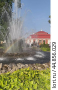 PETERGOF, SAINT PETERSBURG, RUSSIA - September 17, 2024: Vertical video of tourists are walking along the Lower Park near "Sheaf" fountain in front of the Monplaisir Palace-Museum on sunny summer day. Редакционное видео, видеограф Виктория Катьянова / Фотобанк Лори
