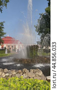 PETERGOF, SAINT PETERSBURG, RUSSIA - September 17, 2024: Vertical video of Lower Park of Peterhof and Sheaf fountain in front of Monplaisir Palace-Museum - Peter Great's favorite country palace. Редакционное видео, видеограф Виктория Катьянова / Фотобанк Лори