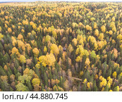 Часовня и беседка в густом лесу. Стоковое фото, фотограф Яковлев Сергей / Фотобанк Лори