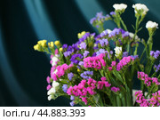 Bouquet of multicolored flowers in a vase (Limonium sinuatum, Statice sinuata) on a green background. Стоковое фото, фотограф Ирина Вершинская / Фотобанк Лори