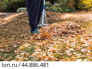 A bunch of autumn leaves and a woman is doing a general cleaning in the garden. In autumn, people clean the lawn of dry leaves. Gardening. Garden cleaning. Стоковое фото, фотограф Photojuli / Фотобанк Лори