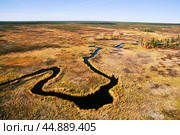 Золотая осень, тайга, извилистая  река, лесотундра, болотистая местность, облачный пейзаж. Западная Сибирь, Ханты-Мансийский  АО. Стоковое фото, фотограф Павел Просянов / Фотобанк Лори