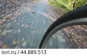 The front wheel of the bike when driving along the path of the autumn park. The concept of an autumn bike ride in the park. Стоковое видео, видеограф Ярославский Максим / Фотобанк Лори