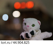 White toy kitten on the blurred city background. Стоковое фото, фотограф YuryKara / Фотобанк Лори