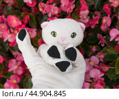 White toy kitten on the pink flowers background. Стоковое фото, фотограф YuryKara / Фотобанк Лори
