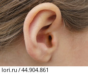 Photograph of a child’s ear. Стоковое фото, фотограф YuryKara / Фотобанк Лори