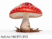 Mushroom Amanita on white background. Стоковое AI-изображение, AI-художник Veniamin Kraskov / Фотобанк Лори