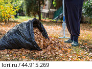 A bunch of autumn leaves and a woman is doing a general cleaning in the garden. In autumn, people clean the lawn of dry leaves. Gardening. Garden cleaning. Стоковое фото, фотограф Photojuli / Фотобанк Лори