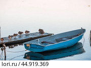 The Golden Ring of Russia, the city of Pereslavl-Zalessky. Fishing boats on the Trubezh River at dawn. Стоковое фото, фотограф Photojuli / Фотобанк Лори