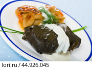 Close up of cabbage and grape rolls in leaves at plate with sour cream. Стоковое фото, фотограф Яков Филимонов / Фотобанк Лори