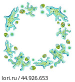 Microbes and bacteria under a microscope. Round frame for text. For the design of hygiene products, antibacterial soap, antiseptics, and medical purposes. For creating labels, stickers and badges. Стоковая иллюстрация, иллюстратор Larisa Hamukova / Фотобанк Лори