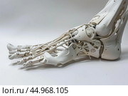 White robotic foot with hydraulics resting on white background. Стоковое AI-изображение, AI-художник Иван Рябоконь / Фотобанк Лори
