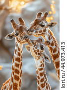 Two giraffes close together, gently nuzzling in a display of affection and connection. Стоковое AI-изображение, AI-художник Veniamin Kraskov / Фотобанк Лори