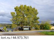 Пермский край, город Добрянка, микрорайон Задобрянка, автобусная остановка "Улица Суворова" Стоковое фото, фотограф Алексей Иванов / Фотобанк Лори