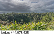 Tropical thickets surround the crater of an extinct volcano. Forest on the slopes. Banana leaves are in the foreground. Clouds in the sky. Mauritius. Trou-aux-Cerfs (2024 год). Стоковое фото, фотограф Вера Ивановна Кубарева / Фотобанк Лори
