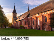Konigsberg Cathedral on Kanta or Kneiphof Island. Kaliningrad. Russia (2021 год). Стоковое фото, фотограф Elena Odareeva / Фотобанк Лори