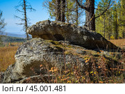 Древние горы Хакасии. Каменный парк. (Ширинские Столбы) (2019 год). Редакционное фото, фотограф Александр Галинский / Фотобанк Лори