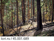 Древние горы Хакасии. Каменный парк. (Ширинские Столбы) (2019 год). Редакционное фото, фотограф Александр Галинский / Фотобанк Лори