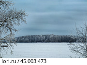Зимний фрагментарный пейзаж, Пасмурная холодная погода (2021 год). Стоковое фото, фотограф Василий Мальцев / Фотобанк Лори