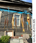 Копченая рыба. Стоковое фото, фотограф Ирина Верегина / Фотобанк Лори