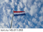 National flag of the Netherlands (blue, white and red stripes). Flags blowing on the wind in a sunny summer day. Flags against blue sky background. (2019 год). Стоковое фото, фотограф YuryKara / Фотобанк Лори