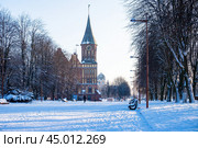 Kaliningrad Cathedral. The historical center of the city. The grave of Immanuel Kant. (2021 год). Редакционное фото, фотограф Zima Nadezhda / Фотобанк Лори