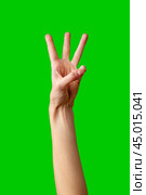 Human Hand Displaying the Number Three Against a Solid Green Background. Стоковое фото, фотограф Сергей Толмачёв / Фотобанк Лори