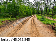 Колея грунтовой дороги. Остров Ольхон. Стоковое фото, фотограф Александр Тараканов / Фотобанк Лори