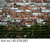 Efflorescence is a whitish trace on the surface of brickwork, represented by a mixture of chemical compounds of salts. Mold on a wet wall, lichens, moss. Стоковое AI-изображение, AI-художник Сергей Елизарьев / Фотобанк Лори