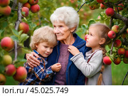 Бабушка с внуками в яблоневом саду. Кончились каникулы, пора прощаться. Стоковое AI-изображение, AI-художник Щеголева Ольга / Фотобанк Лори