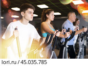 Group of people of different ages train on elliptical trainers steppers. Стоковое фото, фотограф Яков Филимонов / Фотобанк Лори