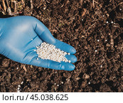 The application of nitrogenous fertilizers in soil in early spring, plant care. Стоковое фото, фотограф Natalia Gdovskaia / Фотобанк Лори