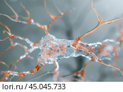 Neuron transmitting nerve impulse showing axon and dendrites. Стоковое AI-изображение, AI-художник Иван Рябоконь / Фотобанк Лори
