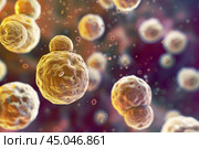 Microscopic view of budding pathogenic yeast cells. Стоковое AI-изображение, AI-художник Иван Рябоконь / Фотобанк Лори