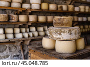 Wheels of aged cheese maturing on wooden shelves in a cellar. Стоковое AI-изображение, AI-художник Иван Рябоконь / Фотобанк Лори