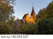 Konigsberg Cathedral on Kanta or Kneiphof Island. Kaliningrad. Russia (2021 год). Стоковое фото, фотограф Elena Odareeva / Фотобанк Лори