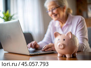 Pension. Saving money. Savings. Piggy bank in the form of a pig in close-up, Calculating the total amount of the budget. An elderly woman learns how to interact with a laptop in online payments, finance, loans, transactions. Стоковое AI-изображение, AI-художник Photojuli / Фотобанк Лори
