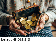 Poverty, problems with retirement. An elderly retired woman holds an old coin purse in her hands. Last money, difficulties. A low-income family budget. Стоковое AI-изображение, AI-художник Photojuli / Фотобанк Лори