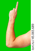 human arm gesturing with raised fingers against a bright green backdrop. Стоковое фото, фотограф Сергей Толмачёв / Фотобанк Лори