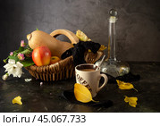 Decoration of a table for autumn holidays. Стоковое фото, фотограф Татьяна Ляпи / Фотобанк Лори