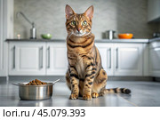 A cute Bengal cat near a feeding bowl in a white kitchen. The cat is looking at the camera. Taking care of animals. Стоковое AI-изображение, AI-художник Photojuli / Фотобанк Лори