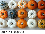 Fifteen decorative pumpkins laid out in a neat 3 x 5 grid on a light wooden background. The pumpkins come in different colors and sizes: white, orange, gray, and yellow with patterns. Their diversity emphasizes the natural shades and textures, which creates an atmosphere of warmth and coziness, typical of autumn decor. The composition looks bright and harmonious due to the contrast between the pumpkins and the light background. Стоковое AI-изображение, AI-художник Анна Кривицкая / Фотобанк Лори