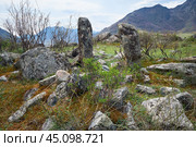 Ancient burials in the Altai mountains on terrace of the Katun and Bolshoy Yaloman rivers. (2023 год). Стоковое фото, фотограф Сергей Пристяжнюк (Serg Zastavkin) / Фотобанк Лори