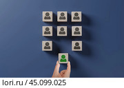 Human resources management and recruitment business hiring concept, corporate hierarchy, recruiter complete team by one leader person. hand selects cube with desired person highlighted in green. Стоковое фото, фотограф Павел Муравьев / Фотобанк Лори