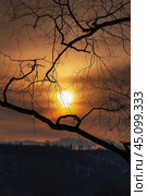 Весеннее закатное солнце сквозь тонкие ветви деревьев. The spring setting sun through the thin branches of the trees. Стоковое фото, фотограф Евгений Романов / Фотобанк Лори