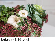 Still-life. A bouquet of decorative cabbage in a vase and pumpkins in the interior of a home kitchen. A cozy autumn concept. Стоковое фото, фотограф Photojuli / Фотобанк Лори
