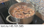 Shrimp cooked in a pot on an induction stove. Креветки варятся в кастрюле. Стоковое видео, видеограф Ольга Петрова-Апостолова / Фотобанк Лори
