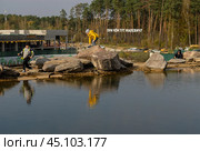 Дети на камнях у воды в парке Малевича. Стоковое фото, фотограф Валерий Леонидович / Фотобанк Лори