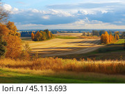 An autumnal rural landscape overlooking spacious fields framed by trees with golden and orange foliage. In the foreground are tall grasses illuminated by soft sunlight. The fields appear to be harvested, with even strips of ploughed land, emphasizing the agricultural character of the area. In the distance, forests and hills are visible under a slightly cloudy sky, creating a sense of peace and solitude. The lighting adds warm tones and makes the landscape even more cozy and picturesque. Стоковое AI-изображение, AI-художник Анна Кривицкая / Фотобанк Лори